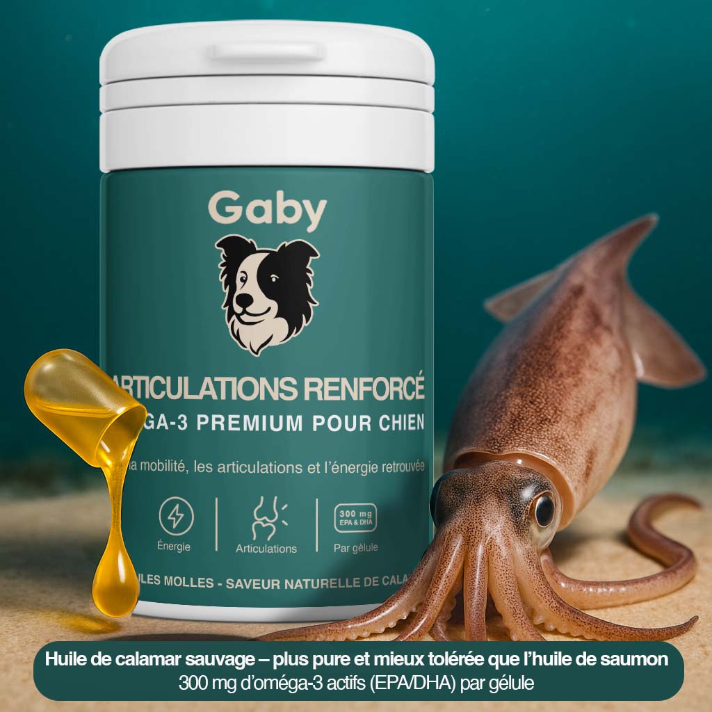 Gaby™ Articulations Renforcées