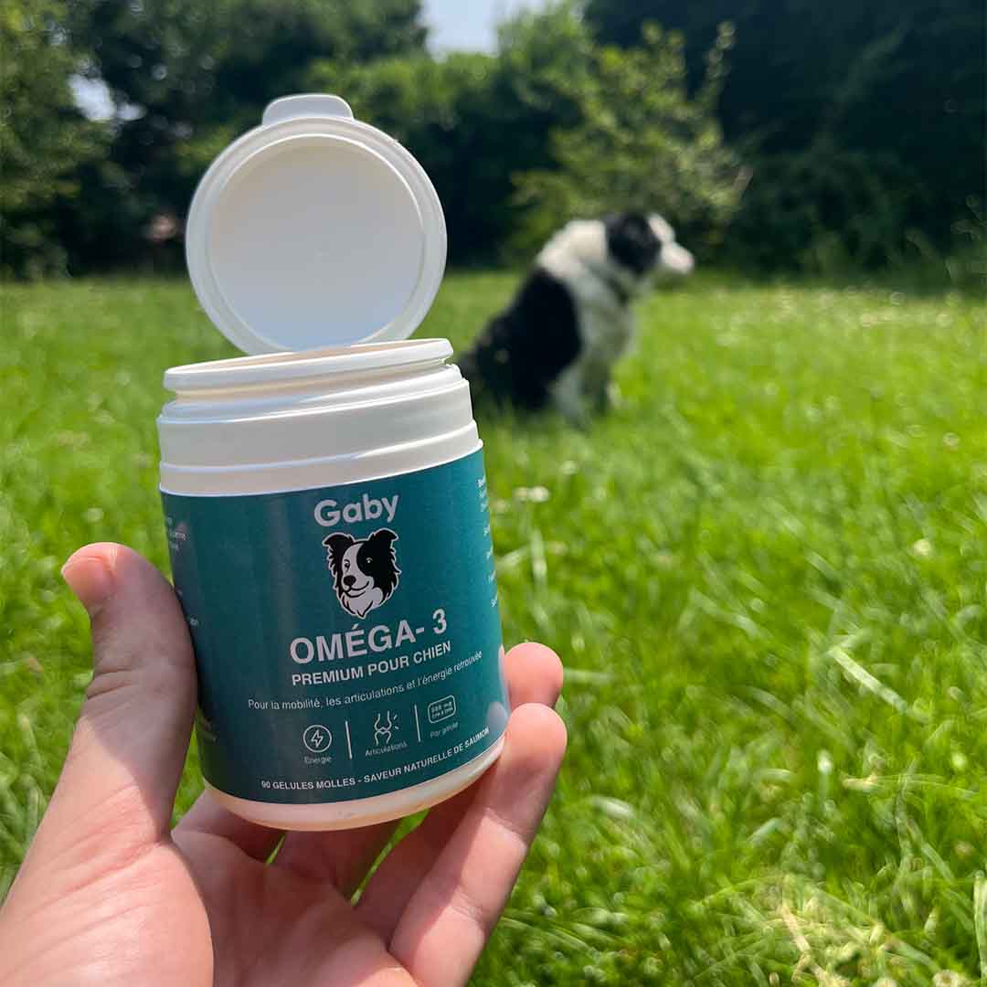 Gaby™ Articulations Renforcées