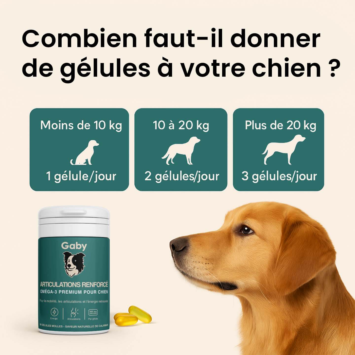 Gaby™ Articulations Renforcées